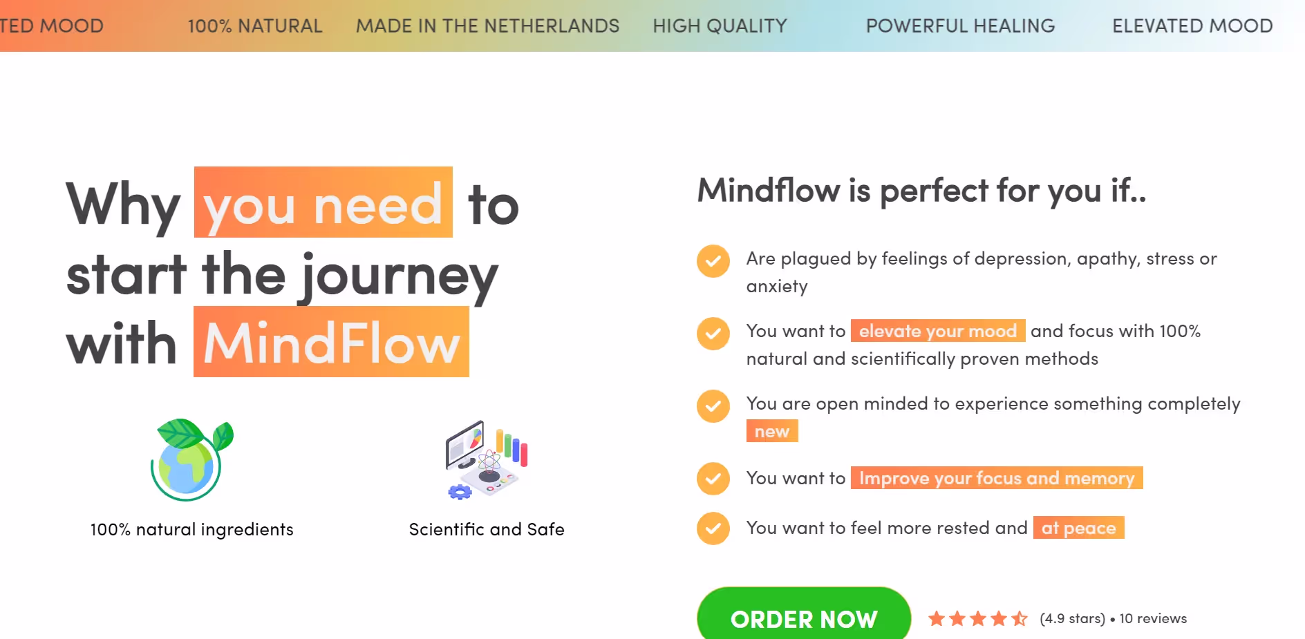 MindFlow project screenshot 2
